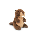 Birch Beaver